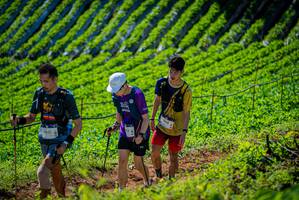 BIB: 300, 456
                            <button type="button" onclick="openModal(19161959)" class="btn btn-primary btn-sm float-right btn-popup" data-toggle="modal" data-target=".modal-high-quality">
                        <i class="fas fa-shopping-cart"></i> Add to Cart
                    </button>
                                            <button type="button" onclick="isThisMe(19161959, true)" class="btn btn-success btn-sm float-right btn-popup btn-isme hidden" data-toggle="tooltip" data-placement="bottom" title="นี่คือรูปของคุณใช่ไหม คลิกที่นี่เพื่อเอาเข้าอัลบั้ม">
                        <i class="fas fa-plus"></i> Add to album
                    </button>
                    <button type="button" onclick="isThisMe(19161959, false)" class="btn btn-warning btn-sm float-right btn-popup btn-isnotme hidden">
                        <i class="fas fa-ban"></i> Remove from album
                    </button>